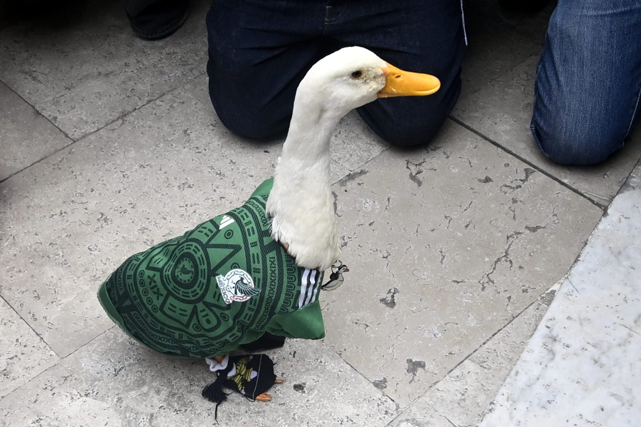 Merlin the Duck was allowed inside Mexico City’s Azteca Stadium, but only to film a commercial